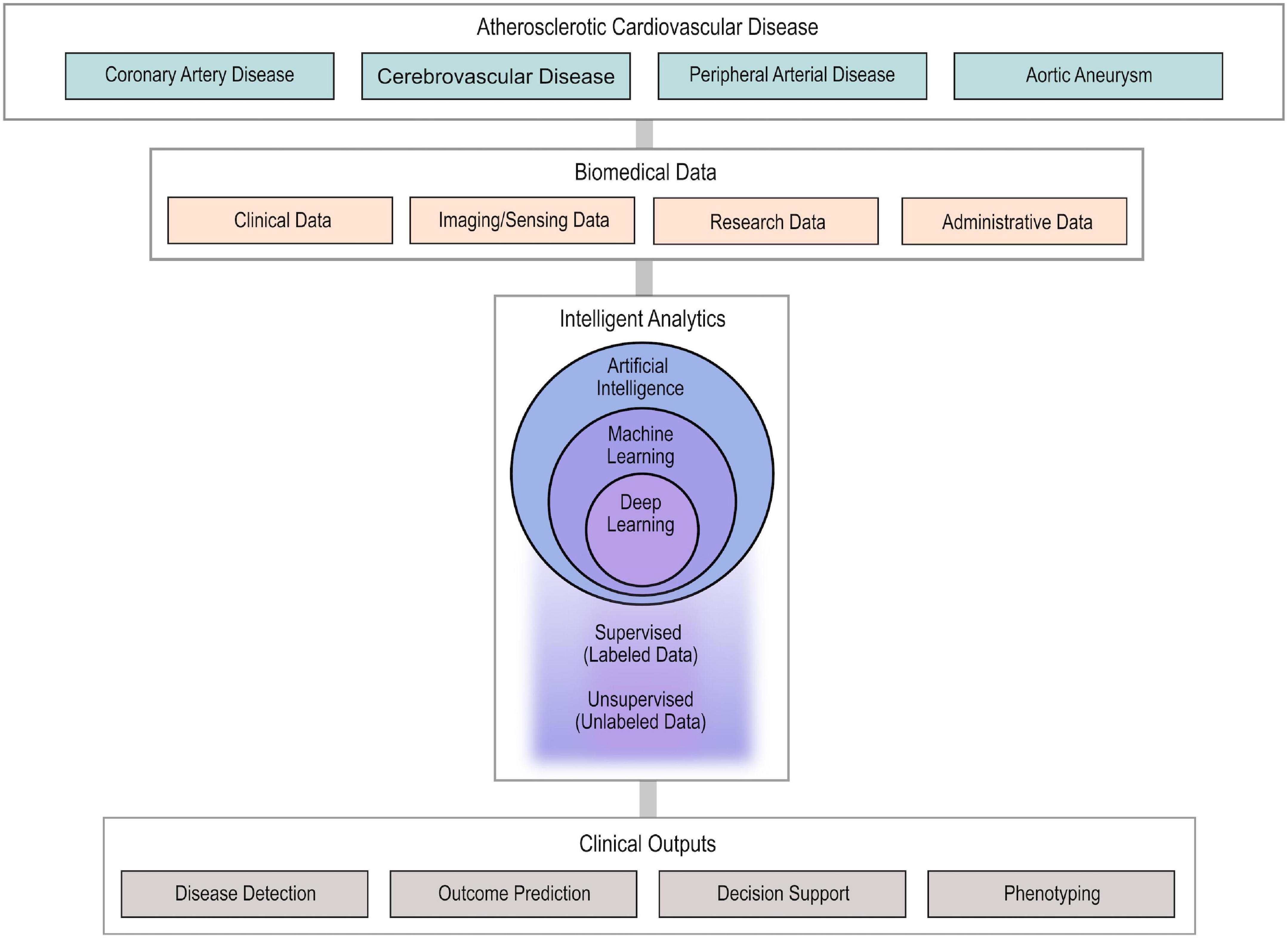 Artificial intelligence in atherosclerotic disease: Applications and trends